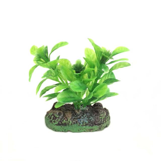 Nisso Aquatic Plants SS-1