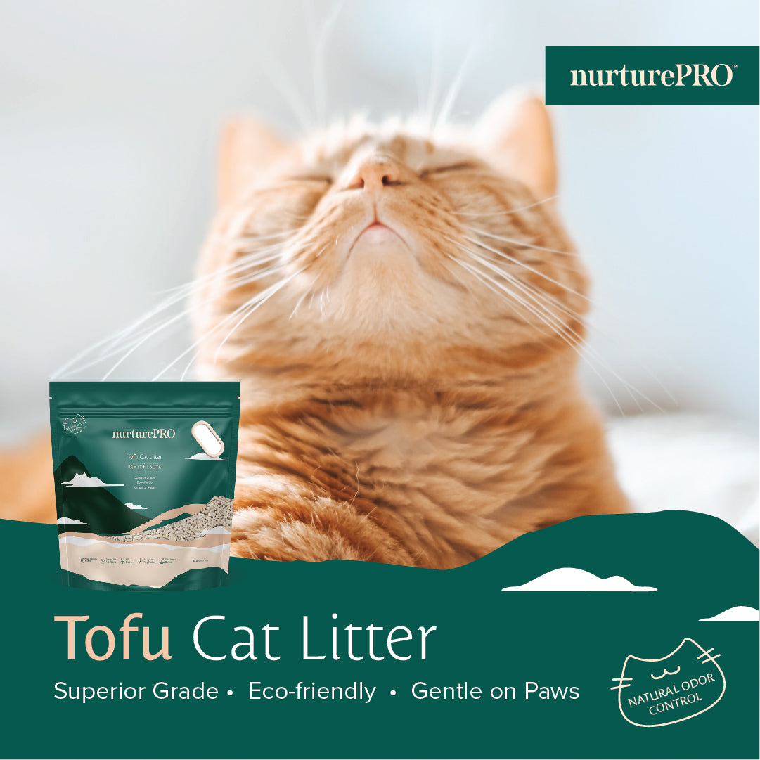 Nurture Pro Cat Tofu Litter Green Tea 6 L x 6 Bags