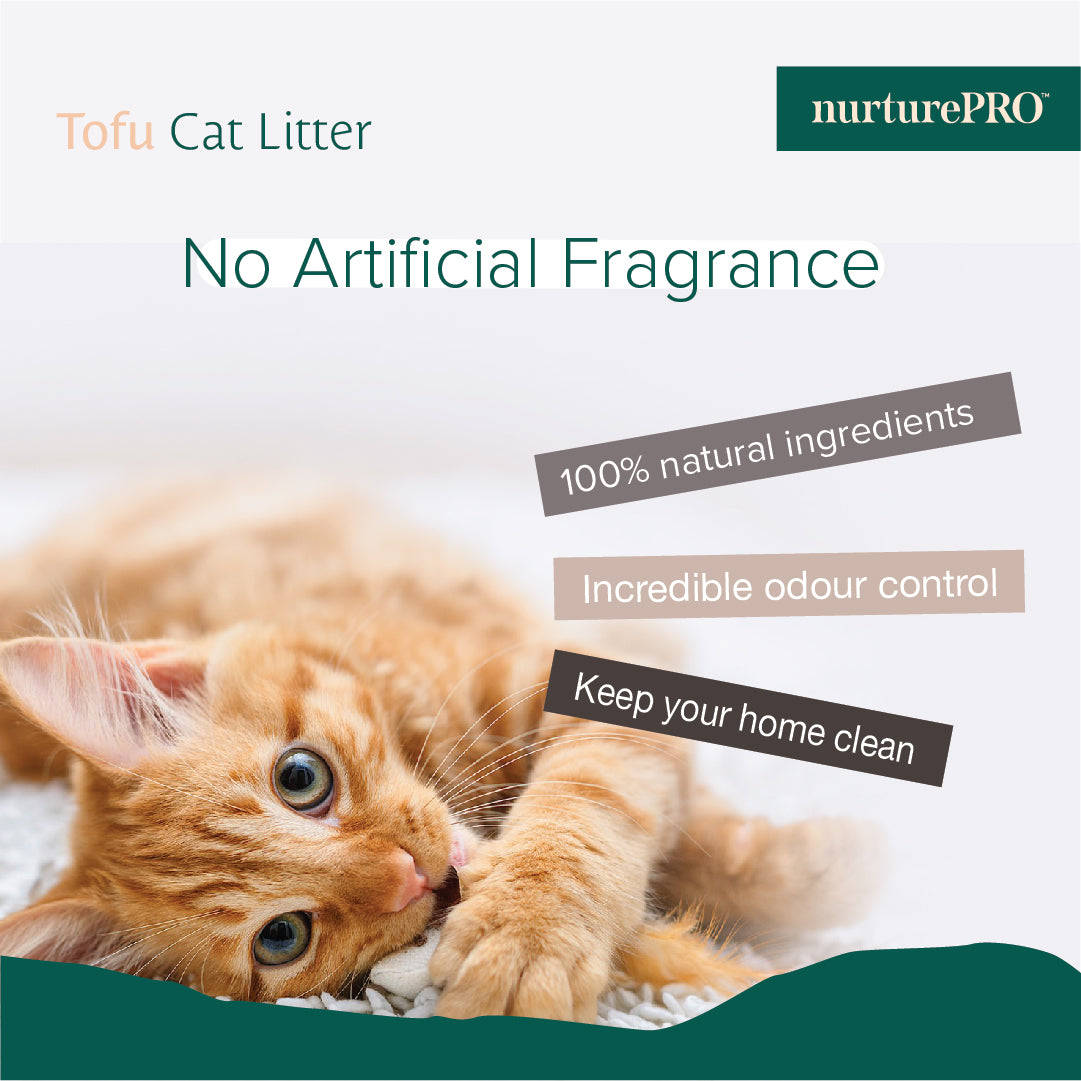 Nurture Pro Cat Tofu Litter Green Tea 6 L x 6 Bags