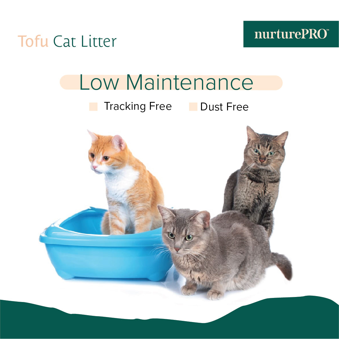 Nurture Pro Cat Tofu Litter Green Tea 6 L x 6 Bags
