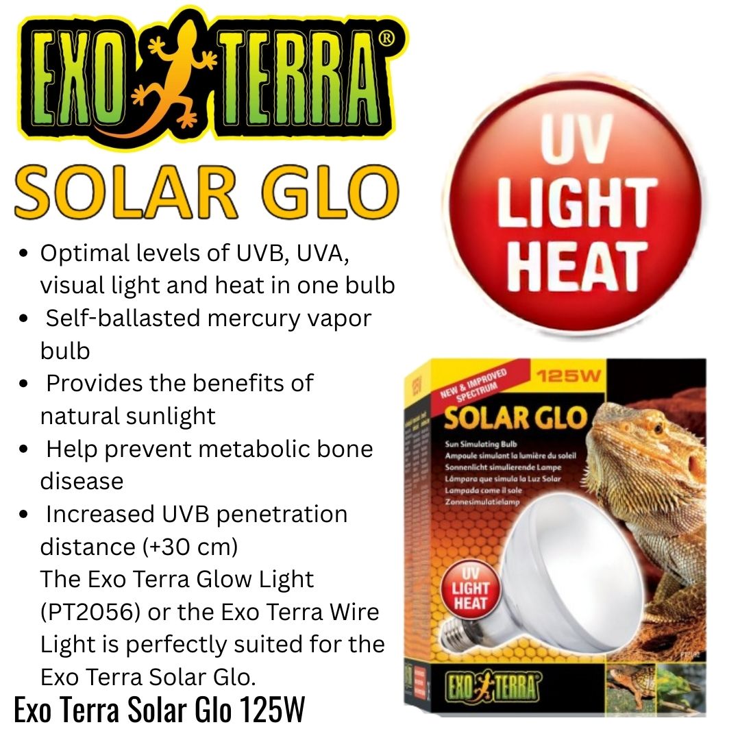 Exo Terra Solar Glo Sun Simulating Lamp 125w (PT2192)