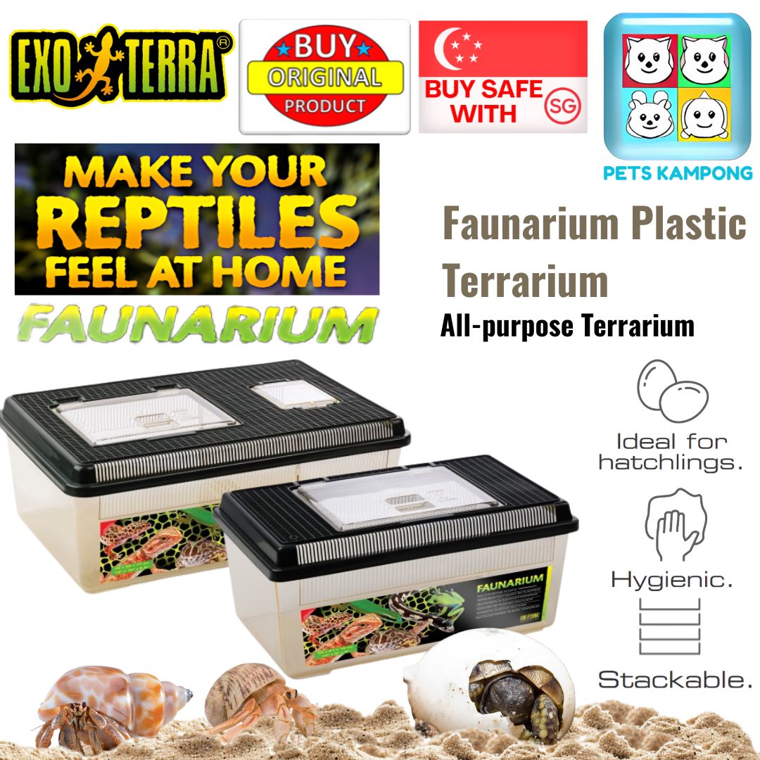 Exo Terra Faunarium Plastic Terrarium, Large (PT2310)