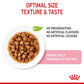 Royal Canin - Feline Pouch Kitten Chunks In Gravy [85g x 12]