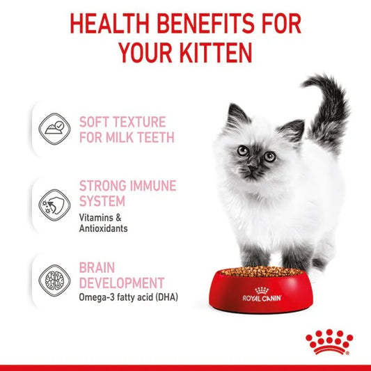 Royal Canin - Feline Pouch Kitten Chunks In Gravy [85g x 12]