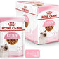 Royal Canin - Feline Pouch Kitten Chunks In Gravy [85g x 12]