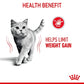 Royal Canin - Feline Pouch Care Light Weight In Jelly [85g x 12]
