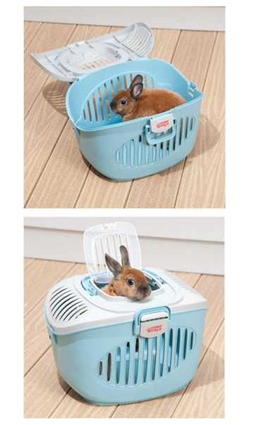 Living World Paws2Go Small Pet Carrier 60899