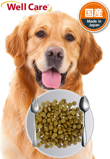 Well Care Golden Retriever Dry Dog Food for Adult 6kg (116489) NEW