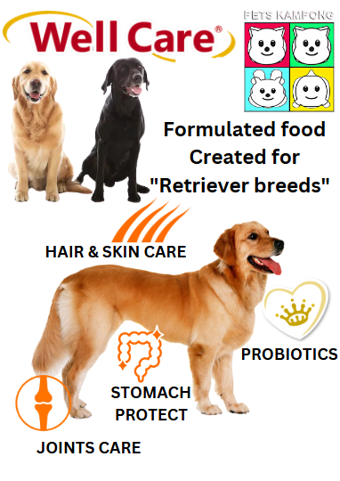 Well Care Golden Retriever Dry Dog Food for Adult 6kg (116489) NEW