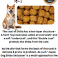 Yeaster Shiba Dog Adult Food Chicken 2.2kg