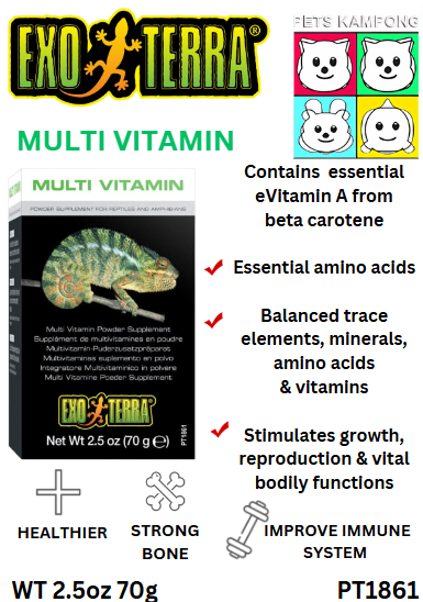 Multi Vitamin Powder Supplement