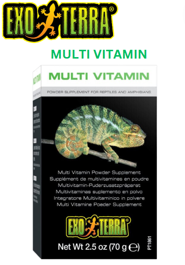 Multi Vitamin Powder Supplement