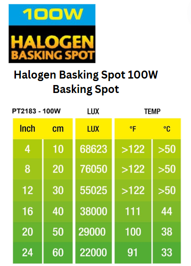 Halogen Basking Spot 100W PT2183