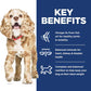 Science Diet Canine Small & Mini Adult 11+ 4.5lbs