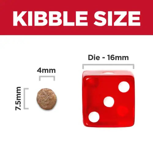 Science Diet Canine Small & Mini Adult 7+ 15.5lbs
